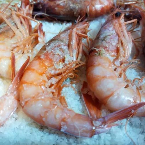 Primer plano de unas gambas