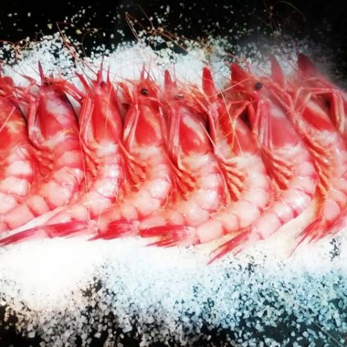 Fila de gambas